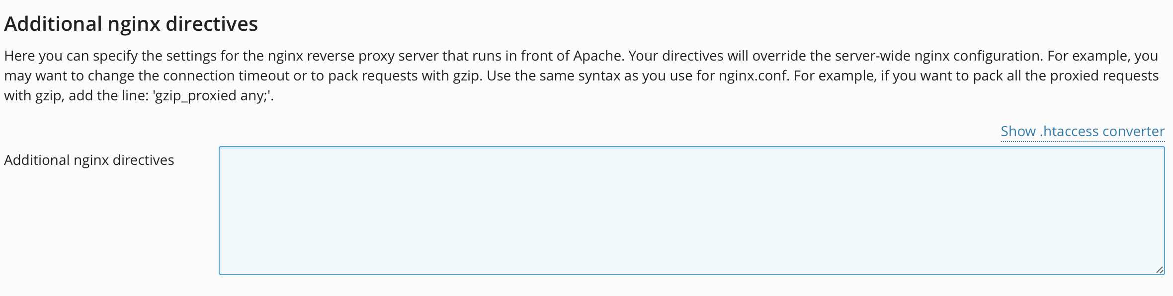 additional nginx directives for nginx setting